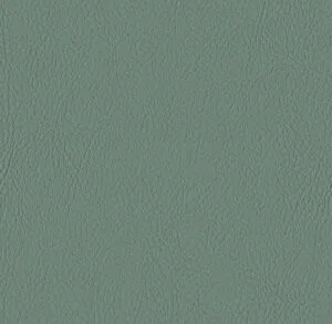 6438 EUCALYPTUS